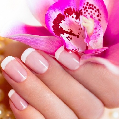 ALL NAILS & SPA - Nail Extensions